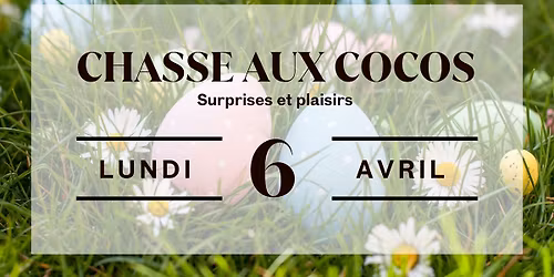 Chasse aux cocos 2026