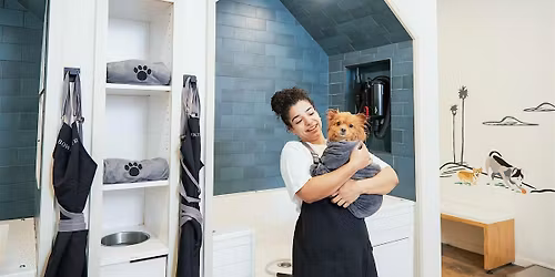 Dog Training at Bowie Barker South Loop
