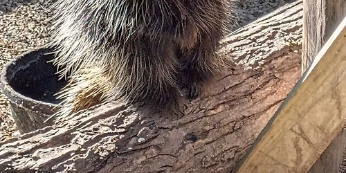 Sanctuary Storytime at Bay Beach Wildlife Sanctuary