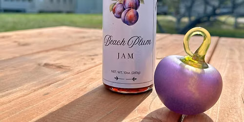 Beach Plum Pursuit - a scavenger hunt