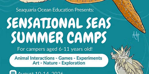 Seaquaria Sensational Seas Summer Camp