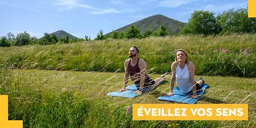 \ud83e\uddd8\u200d\u2640\ufe0f Yoga Terrils au Bois d'Epinoy