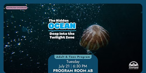 The Hidden Ocean: Deep Into the Twilight Zone