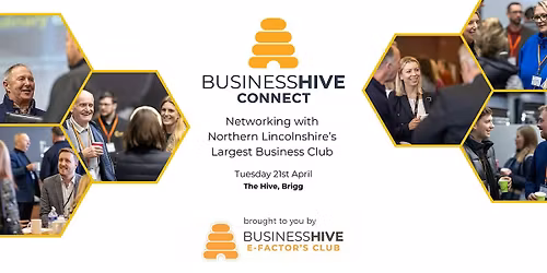Business Hive Connect Networking Event