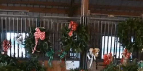 Annual Wreath Sale & Vendor Fair