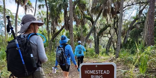 Walk to Caladesi Island!