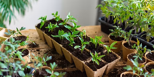 Hanover Garden Club Plant Sale
