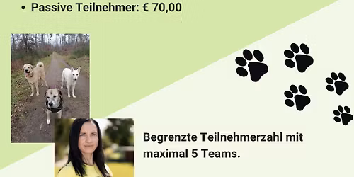 Hundef\u00fchrung ohne Worte 