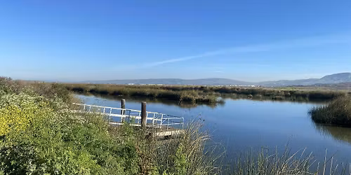 Junior Rangers at the Refuge: Slough Sleuths
