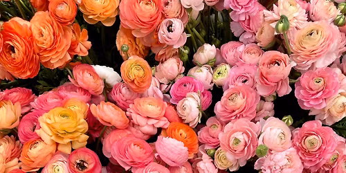 Mother's Day Spring Market