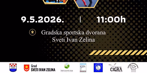 FLY OPEN- International savate competition