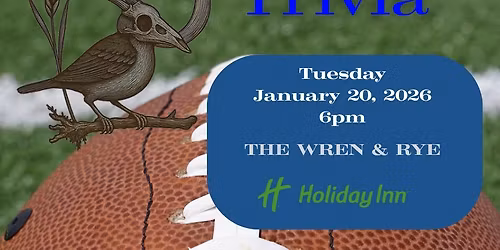 NFL Playoff Madness Trivia