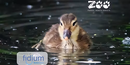 Mother's Day at the Zoo