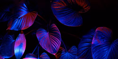 HR INTERVIEW TRIVANDRUM KERALA