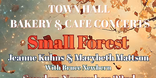 Small Forest in Concert at Town Hall Bakery and Cafe