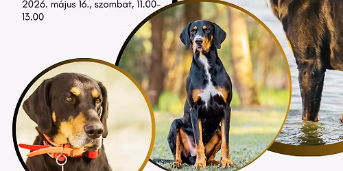 R\u00e9szv\u00e9tel a hagyom\u00e1ny\u0151rz\u0151 felvonul\u00e1son erd\u00e9lyi kop\u00f3kkal