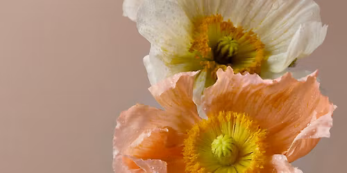Floral Arrangements: Mother's Day Bouquets