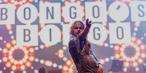 Bongo's Bingo i AKKC (UDSOLGT)