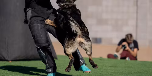 Mario Garcia Working Weekend