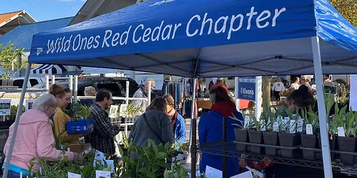 Native Michigan Plant Sale
