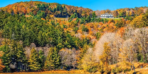 Furever Pet Social's Fall Adventure Hike