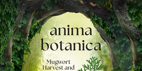 Anima Botanica - Mugwort Harvest and Medicine Communion