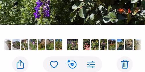Tania\u2019s Open Garden 