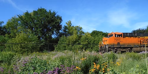Talmage Crossing Prairie Garden