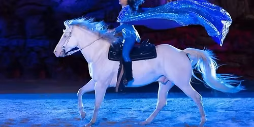 \ud83c\udf89 Dolly Parton's Stampede Dinner Attraction Weekend Getaway Pigeon Forge, TN\ud83c\udf89 $149 Per Couple