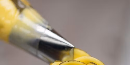 Buttercream Flower Piping Experience