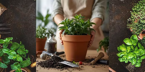 Interwoven: Herbal Tea Container Garden Workshop for SOF Spouses