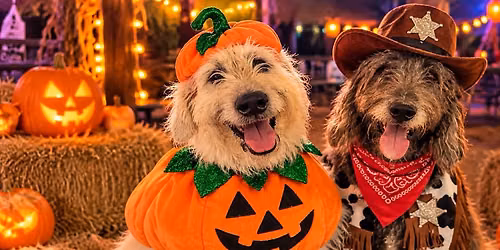 \ud83d\udc3e\ud83c\udf83 HOWL-O-WEEN AT SOUTHBANK! \ud83c\udf83\ud83d\udc3e