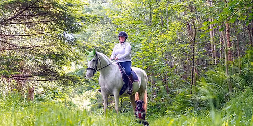 HKF 1st Photography Workshop