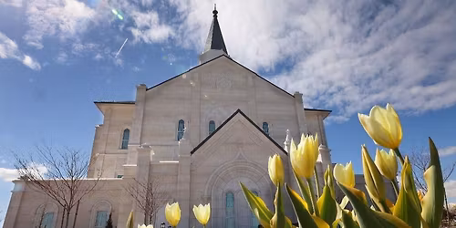 Hunter 8th Ward Temple Night