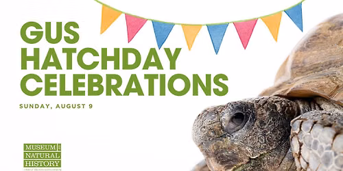 Gus Hatchday Celebrations