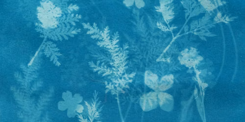 Cyanotypes