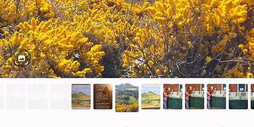 Grief Cafe - Melrose - 2nd Wednesday each month - Ned Haig Bar Melrose Rugby Football Club