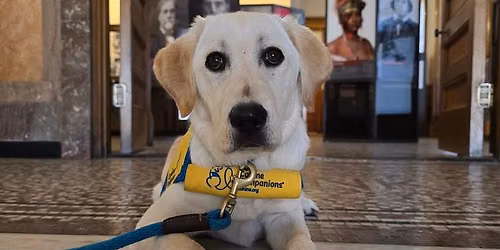 The Puppy Diaries: Raising Runner