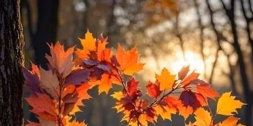 \u2728\u0411\u043b\u0430\u0433\u043e\u0414\u0430\u0440\u044f \u0437\u0430 \u0416\u0438\u0432\u043e\u0442\u0430\u2728- \u0433\u0440\u0443\u043f\u0430 \u0437\u0430 \u043f\u0440\u0430\u043a\u0442\u0438\u043a\u0430 \u043f\u043e \u043c\u0435\u0442\u043e\u0434\u0430 \u0421\u0435\u043c\u0435\u0439\u043d\u0438 \u041a\u043e\u043d\u0441\u0442\u0435\u043b\u0430\u0446\u0438\u0438