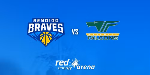 Bendigo Braves vs Waverley Falcons