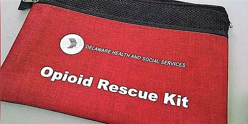 Naloxone (Narcan) Access Training - Dover Public Library