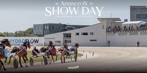 Show Day Twilight Races \u2728\ud83d\udc34