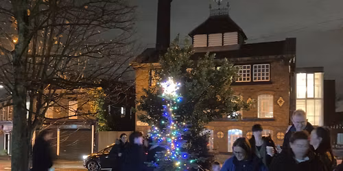 Gateacre (Real) Christmas Tree light-switch on