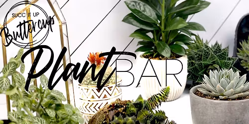 Succ It Up Buttercup Plant Bar