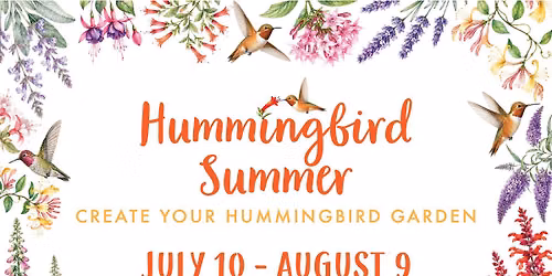 Experience A Hummingbird Summer