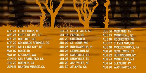 Silversun Pickups at The Palace Theatre Calgary