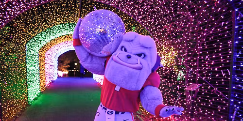 WonderLights Disco Nights