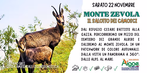 MONTE ZEVOLA: IL SALOTTO DEI CAMOSCI