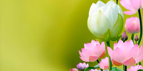 Mindfulness for Wellbeing