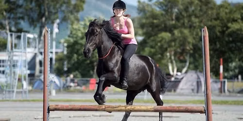 Horsemanship kurs med Ole A. Johansen